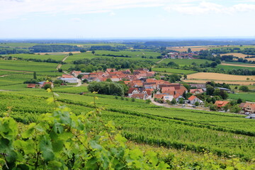 Fototapeta na wymiar View from the vineyards to Pleisweiler on the german wine route in the palatinate