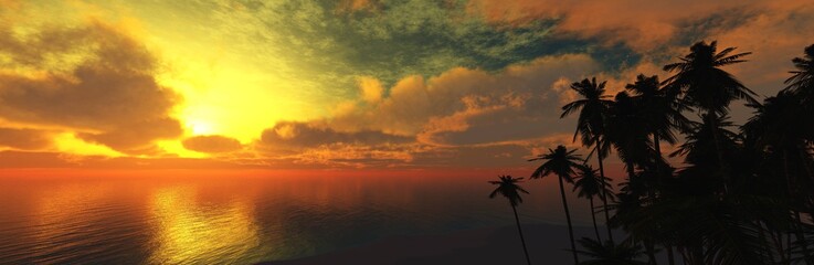 Beach with palm trees at the sea sunset, Silhouettes of palm trees at sunset, banner,