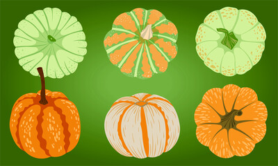 Collection of six pumpkins, autumn illustration in orange, green and with textures