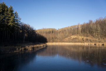 Fototapeta na wymiar Autumn forest and frozen pond under the bright sun