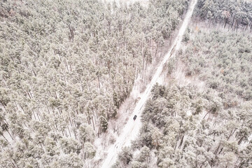 Aerial Drone View on the Forest road at the Winter day. Cold Winter Road landscape from Drone. Pine Forest under Snow at the winter time. 