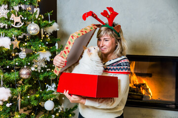 Happy mom with reindeers horns on the top of the head opening the gift with ragdoll cat by the...