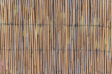 Bamboo covered exterior wall of a building 