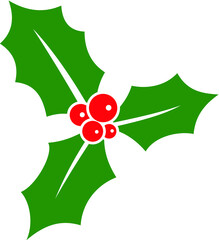 Vector illustration of the Christmas Holly Berry