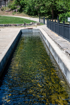 Trout bays at the D.C. Booth Historic National Fish Hatchery in Spearfish, South Dakota, USA