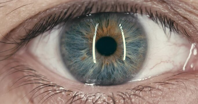 Close up zoom in to the iris