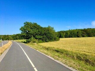 Fototapeta na wymiar A pretty and new road next to a rural field and a shrubbery. Green forest in the background. No cars and all clear blue sky. Nice climate. Jarfalla, Stockholm, Sweden.