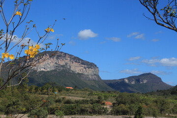 landscape with flowers mountaim chapada diamantina