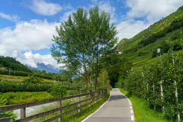 Summer landscape along the cycleway of the Venosta valley