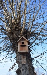 Скворечник