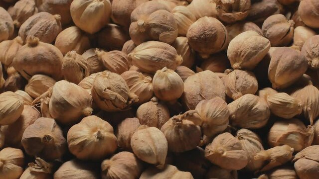 Amomum testaceum dried Herb's background rotation