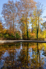 Pond in Parc de Sceaux in autumn - Ile de France - Paris Region - France
