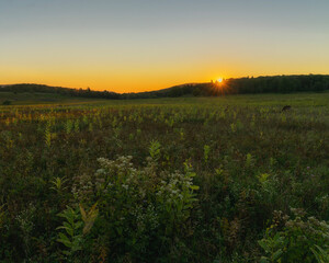 sunset over the field