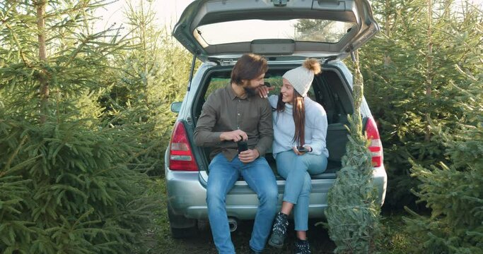 Good-looking amorous happy smiling couple resting in car's trunk after buying fir tree in forestry and enjoying joint conversation,front view