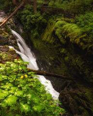 waterfall in the forest