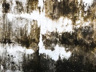 Obraz premium Rain water leaks on the ceiling causing damage, peeling paint and moldy..