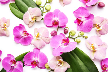 Naklejka na ściany i meble Beautiful orchid flowers and leaves on white background