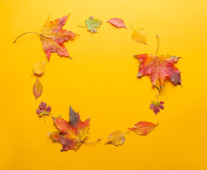 Frame made of autumn leaves on color background