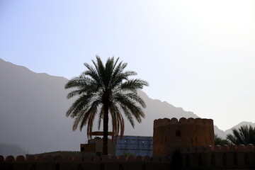 Tower and palm in backlight with mountain profile illuminated by the morning light