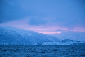 Lichtblicke nach einem Winter 