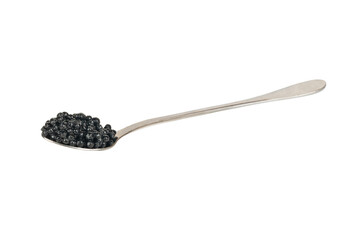 Black caviar in spoon