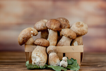 Mushroom Boletus over Wooden Background. Autumn Cep Mushrooms. Ceps Boletus edulis over Wooden Background, close up on wood rustic table. Cooking delicious organic mushroom. Gourmet food