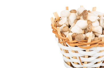 Eringi mushrooms in basket