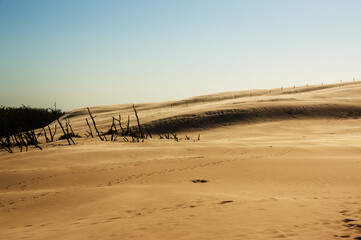 Krajobraz pustynny błękitne niebo i ruchome piaski 