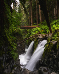 waterfall in the woods