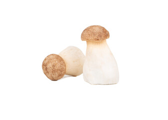 Two eringi mushrooms