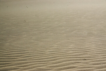 Tekstura szablon krajobraz pustynia i ruchome wydmy	

