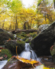 waterfall in autumn