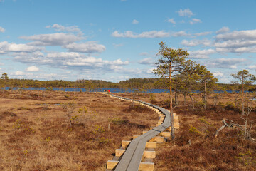 Fototapeta na wymiar Swamp Kakerdaja in Estonia at the autumn. Marshland is equipped by woodens walking pathes.