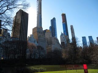 Fototapeta na wymiar Trees in Central Park with a view of the Central Park South skyline in midtown Manhattan, New York City