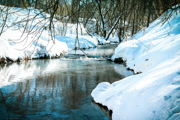 winter morning in the park