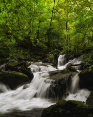 Fototapeta na wymiar waterfall in the green forest