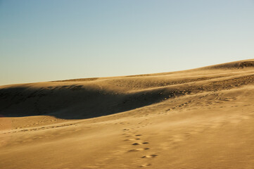 Krajobraz pustynny błękitne niebo i ruchome piaski w pięknym świetle zachodzącego słońca	
