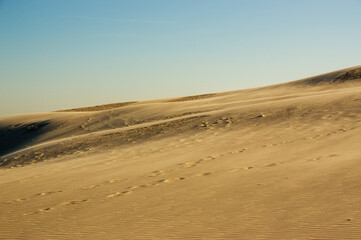 Fototapeta na wymiar Krajobraz pustynny błękitne niebo i ruchome piaski w pięknym świetle zachodzącego słońca