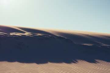 Krajobraz pustynia i ruchome  wydmy podczas silnie wiejącego wiatru przenoszącego drobinki piasku