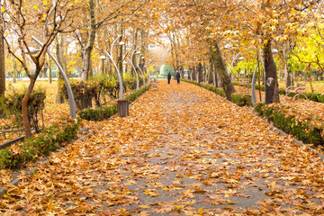 A view of Laleh park in an autumn day, Tehran capital city, Iran