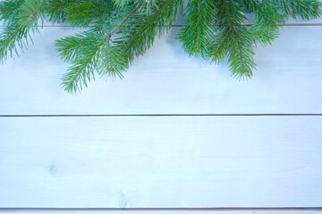 christmas background with fir tree branches