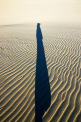 Krajobraz pustynny  i ruchome piaski w pięknym świetle zachodzącego słońca z cieniem sylwetki na piasku  © Monika