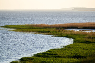 Krajobraz widok jeziora mokradeł rozlewiska z linią brzegową i rosnącymi na środku trzcinami    © Monika