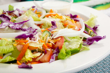 A view of a garden salad, in a restaurant or kitchen setting.