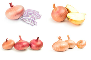 Set of Onion over a white background