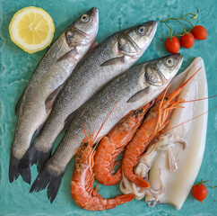 Fresh fish, shrimp and squid on a blue marble surface