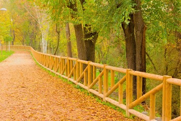 wooden fence in autumn forest with fallen leaves, orange, beautiful, autumn, fall, soft look, dreamy, 