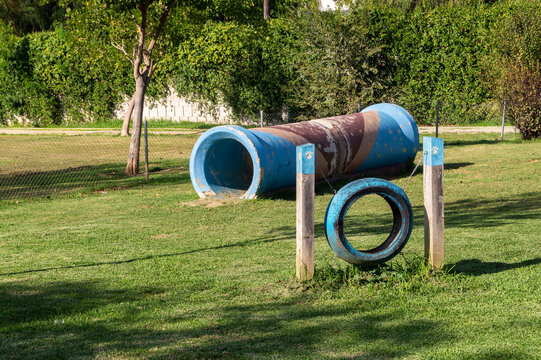 Play area for dogs with a large lawn and attractions such as a tunnel and a tire for pets to have fun in the Río Guadaira park in Seville (Andalusia, Spain). Sunny autumn day to enjoy the outdoors. - Powered by Adobe