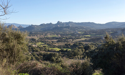 Fototapeta na wymiar An hill view in the north of Sardinia
