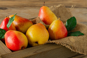 ripe red and yellow pears in a wooden box close-up. background with ripe pears and green leaves.